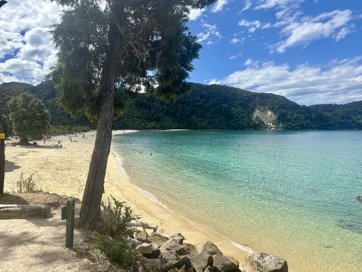 Abel Tasman