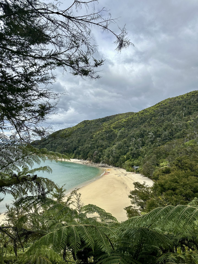 Abel Tasman