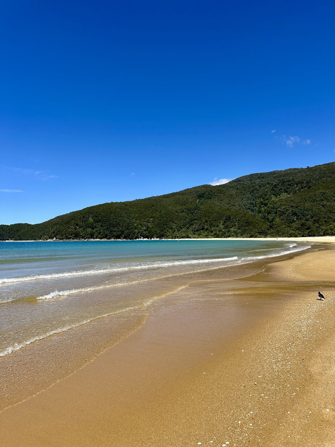Abel Tasman
