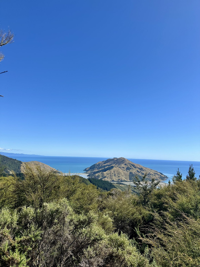 Nelson