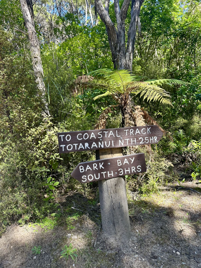 Abel Tasman