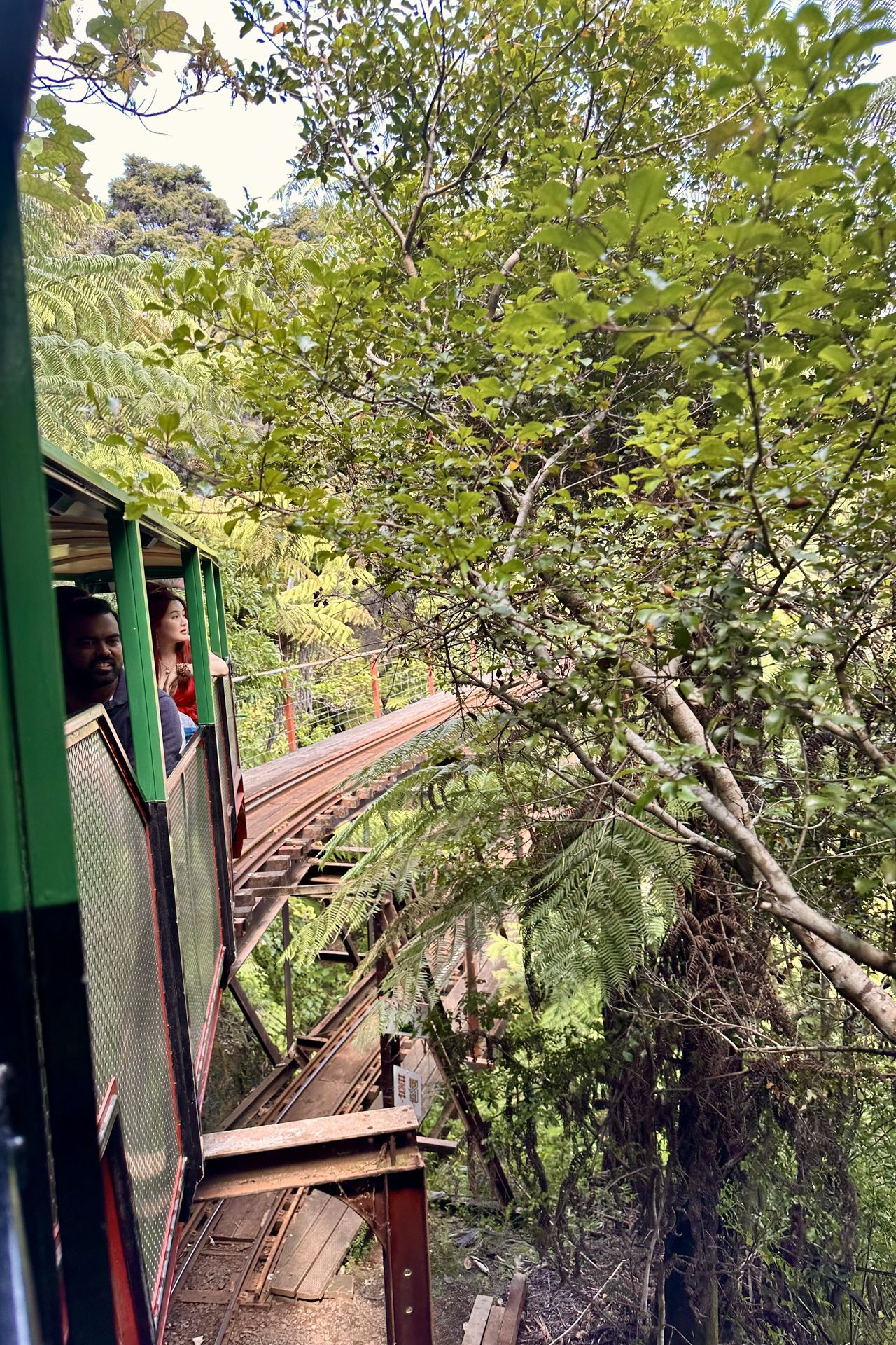 Driving Creek Railway