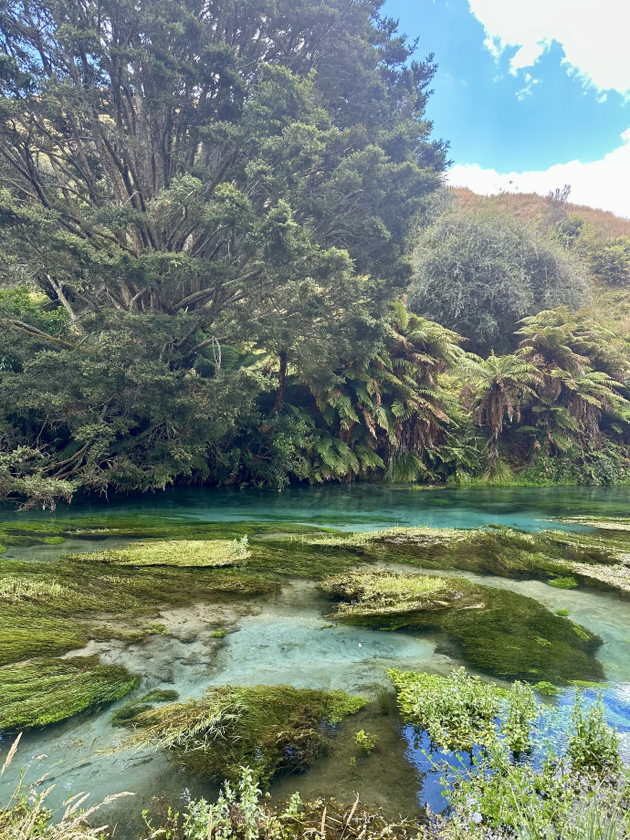 Blue Springs