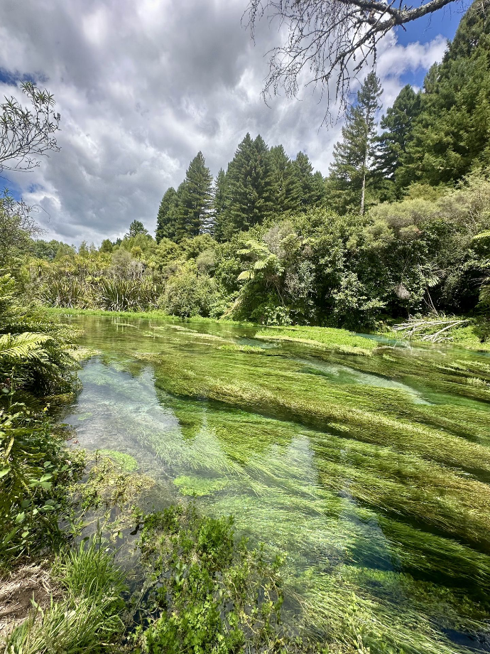 Blue Springs