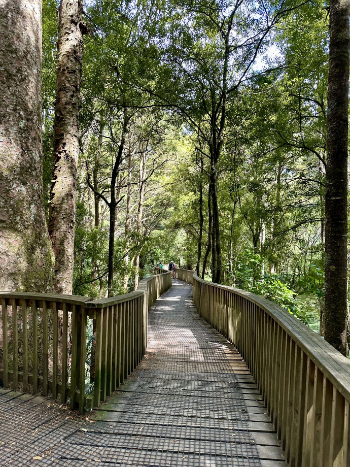 Whangarei