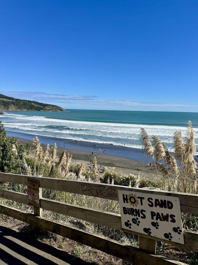 Raglan