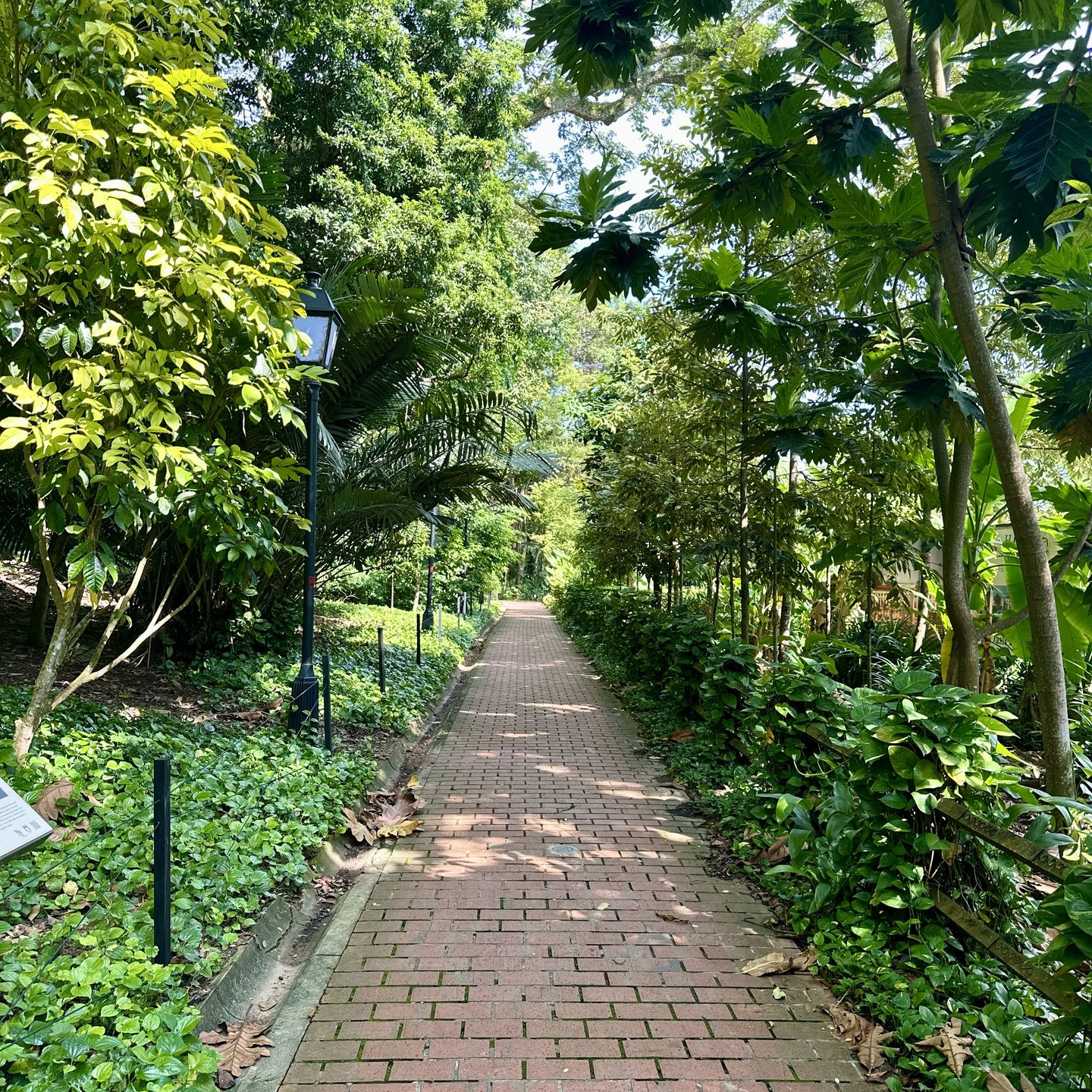 Singapour