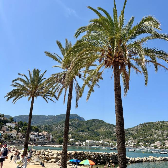 Sóller
