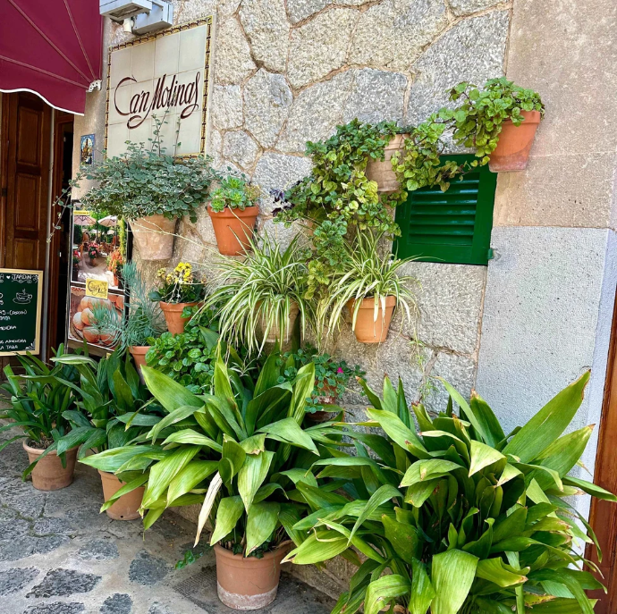 Valldemossa