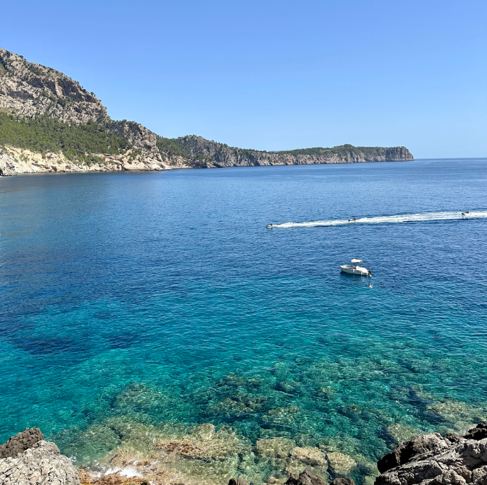 Coll Baix