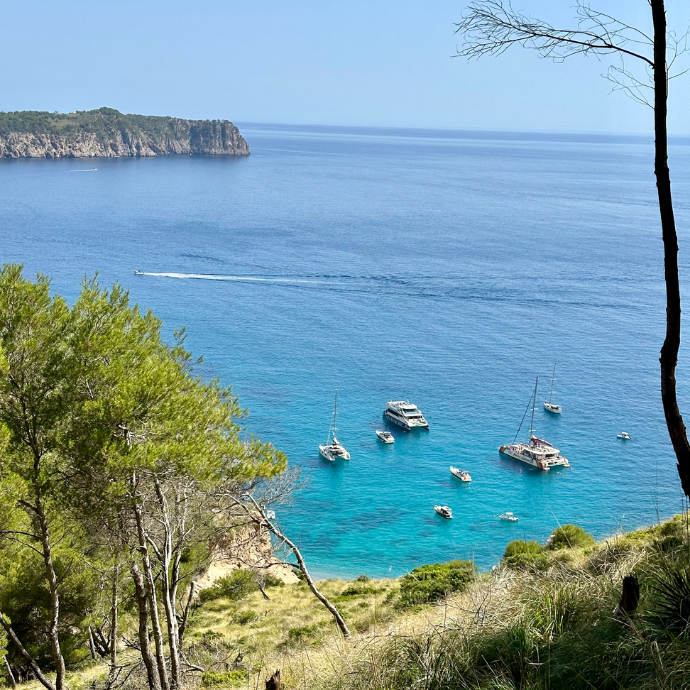 Coll Baix