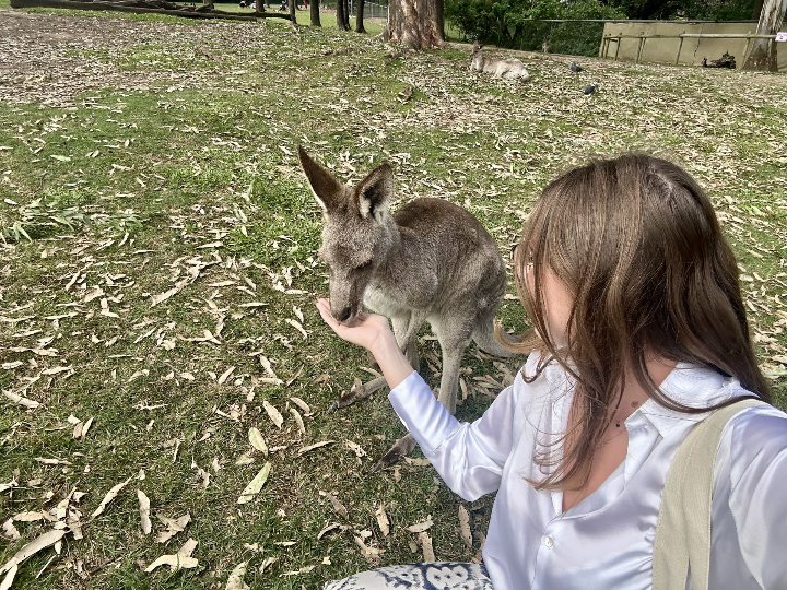 Lone Pine Koala Sanctuary, Brisbane