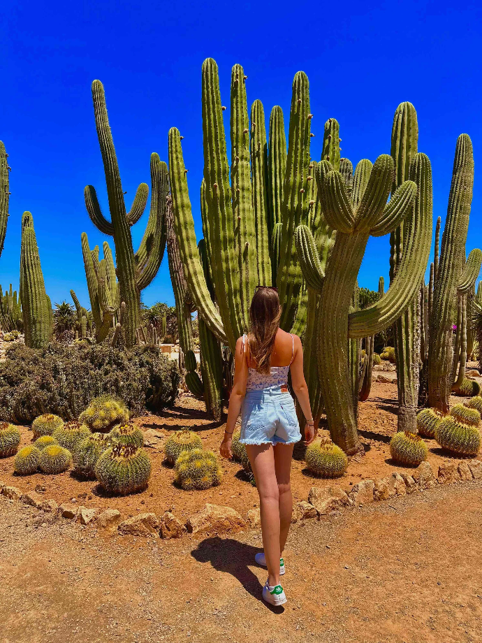 Botanicactus