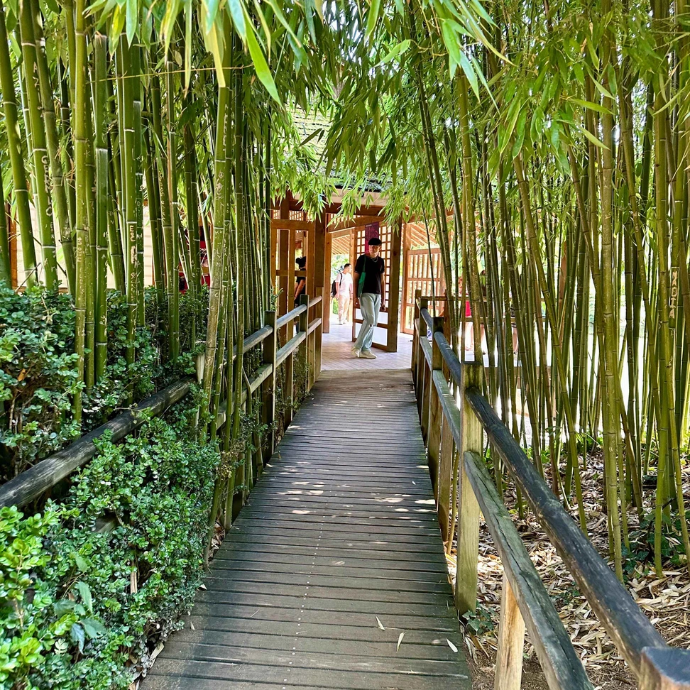 Jardin Japonais Pierre Baudis