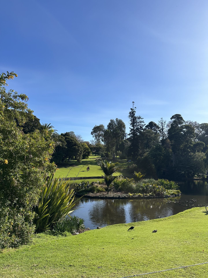 jardins botaniques royaux de Melbourne