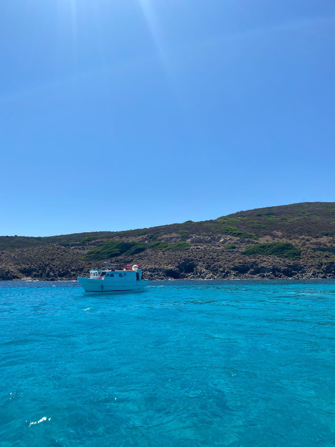 Ile d&#39;Asinara