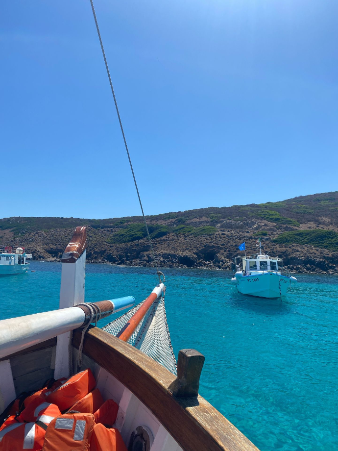 Ile d&#39;Asinara