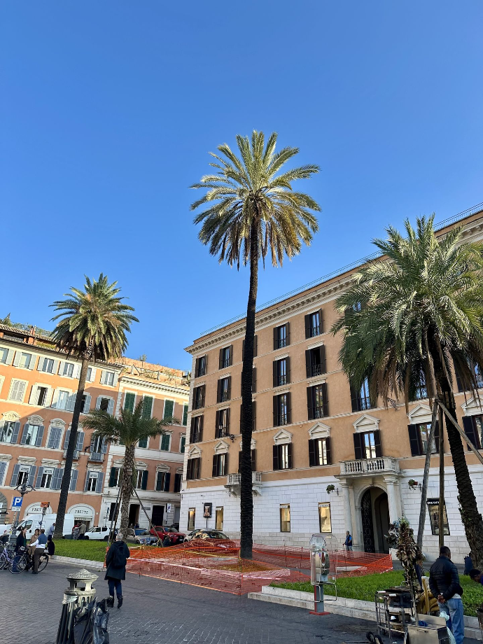 Piazza di Spagna