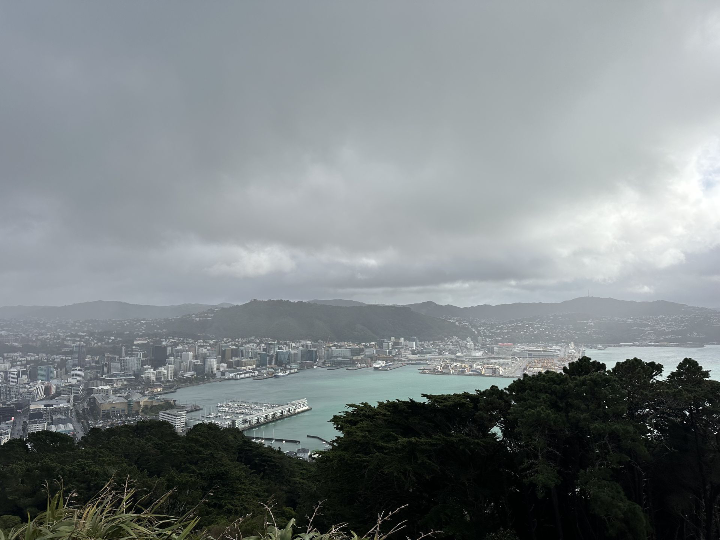 Mont Victoria Wellington