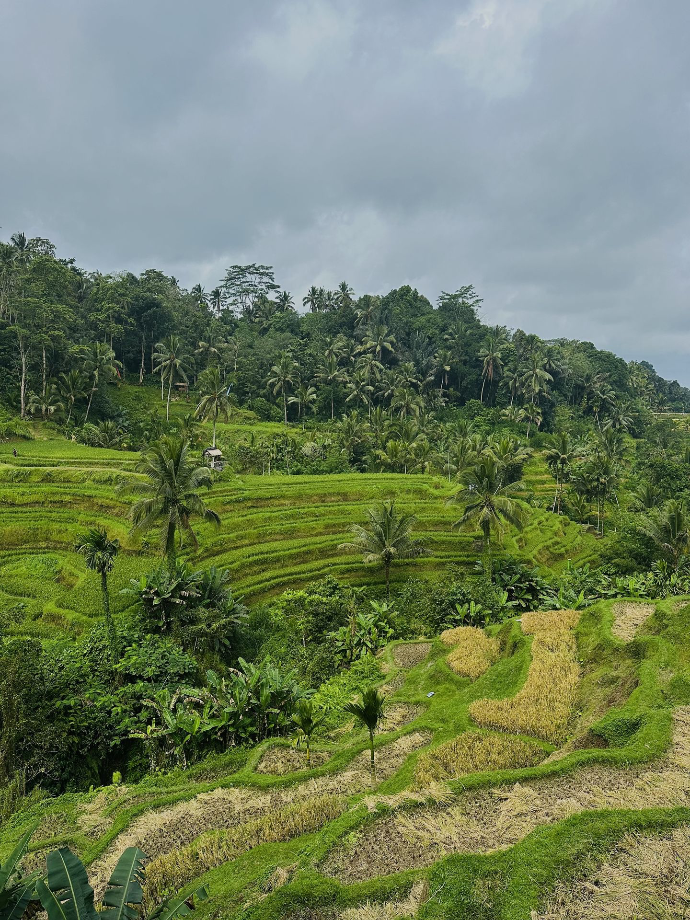 Green Terrace Warung