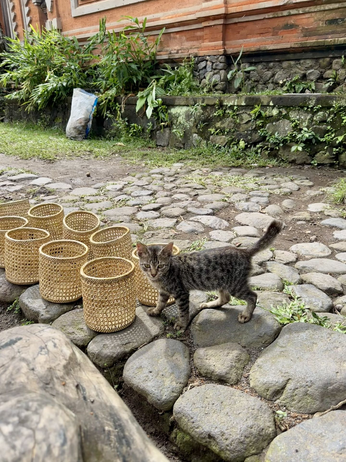 Tenganan Pegringsingan