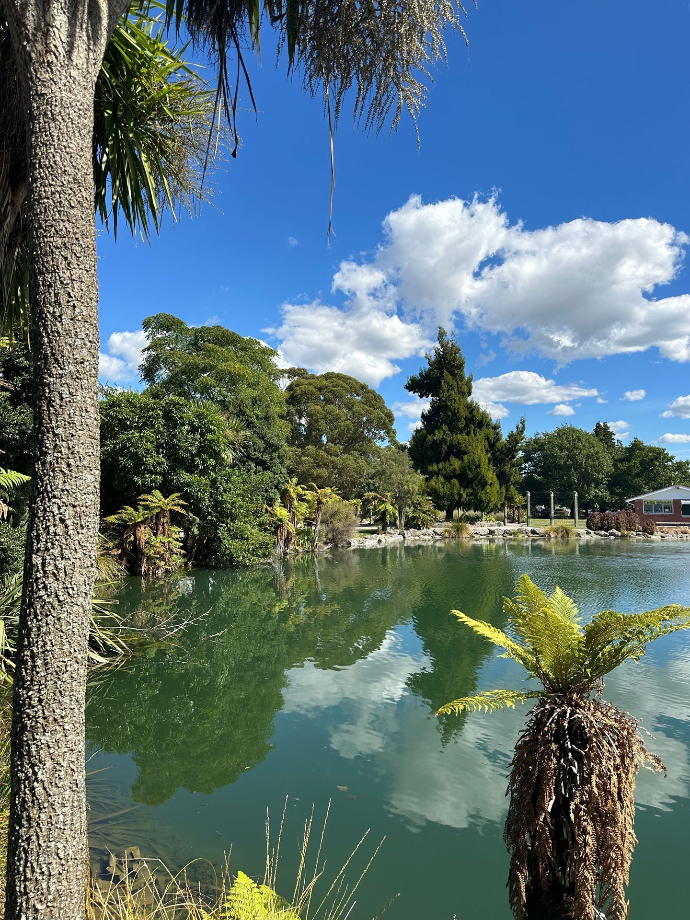 Kuirau Park Kuirau Park