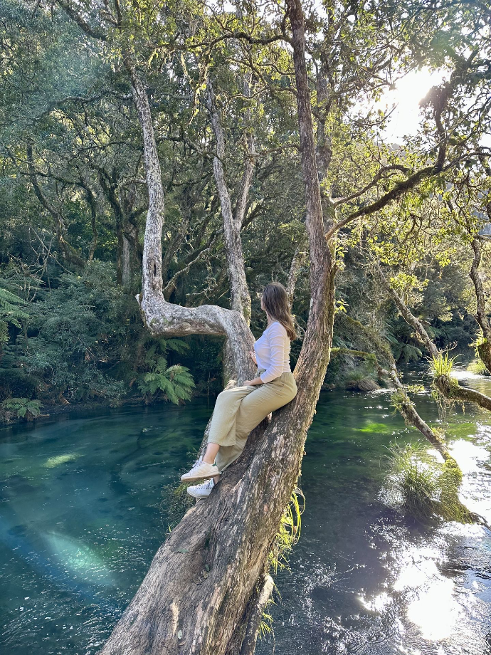 Tarawera Falls Tarawera Falls