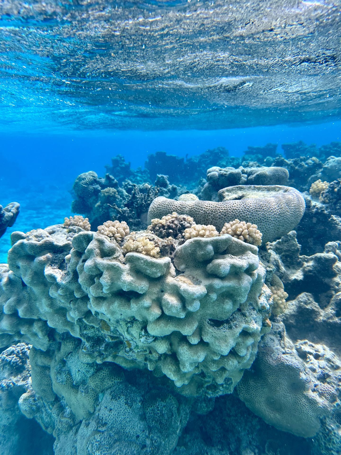 Aitutaki, îles Cook