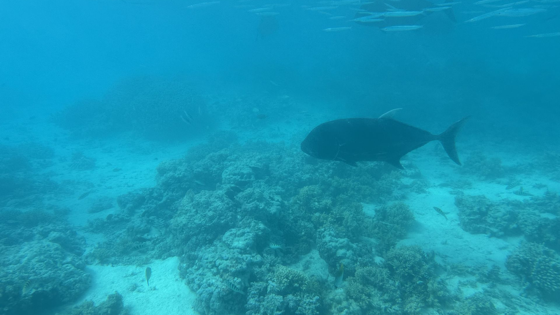 Aitutaki, Îles Cook