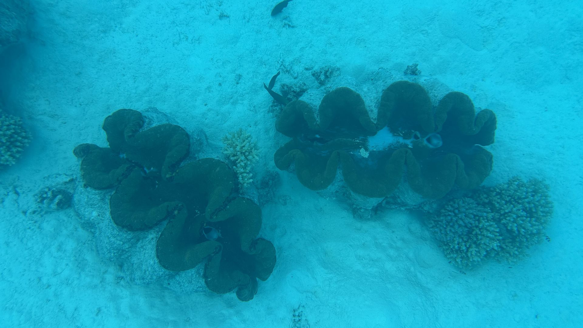Aitutaki, Îles Cook