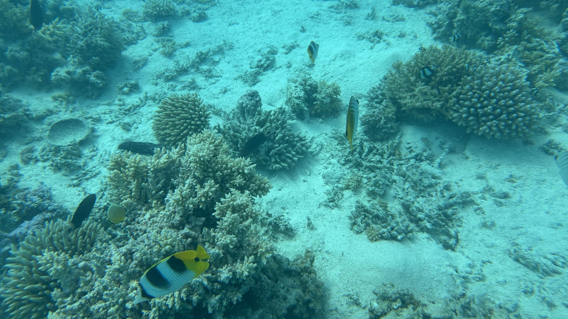 Aitutaki, Îles Cook