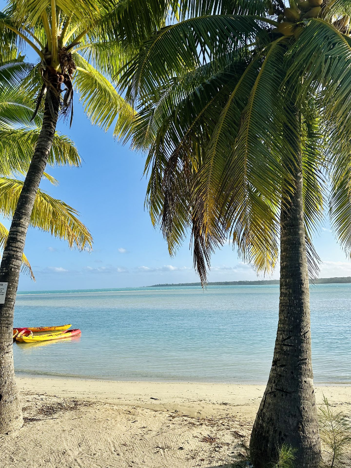 Blue Lagoon Restaurant & Bar