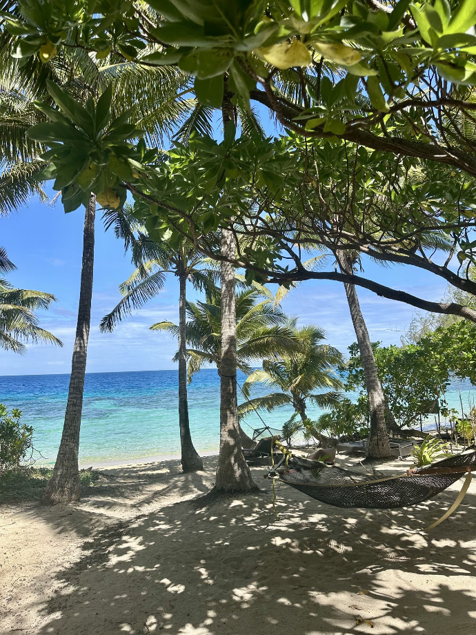 Barefoot Manta Island