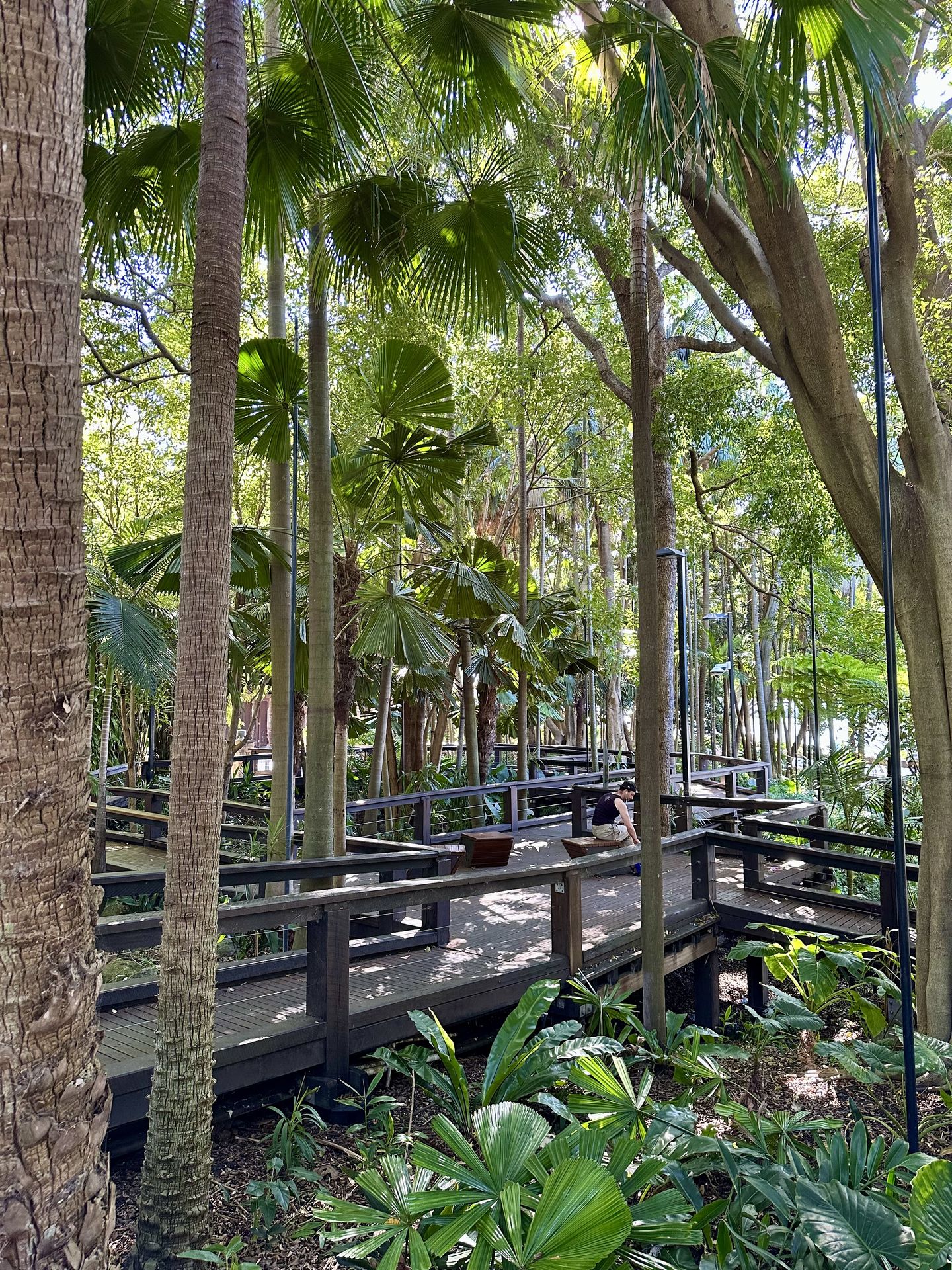 Rainforest Walk South Bank