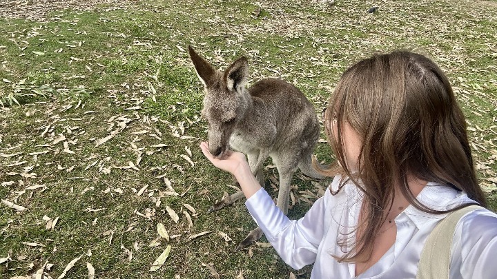 Lone Pine Koala Sanctuary, Brisbane Lone Pine Koala Sanctuary, Brisbane