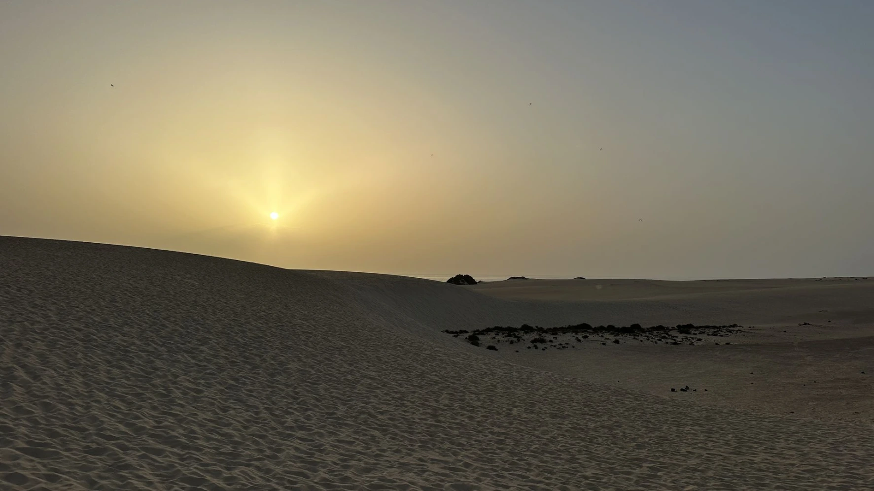 Les Dunes de Corralejo