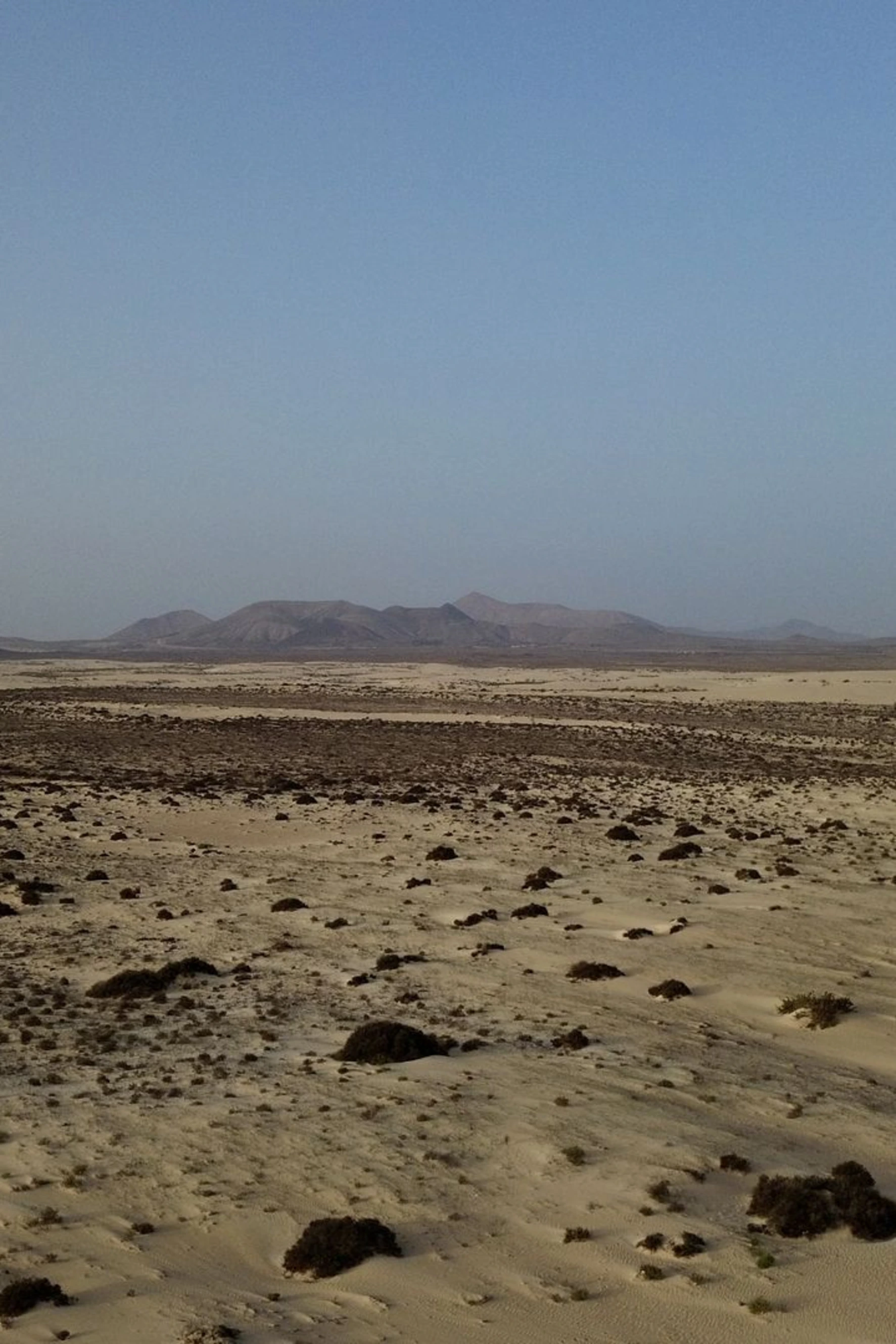 Les Dunes de Corralejo