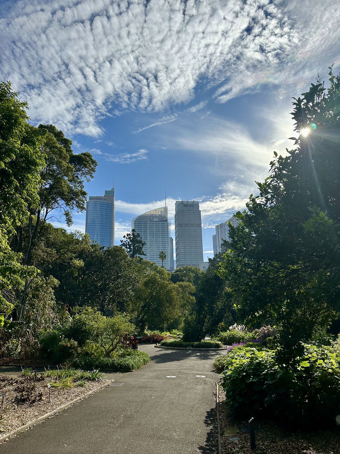 Jardin Botanic, Sydney