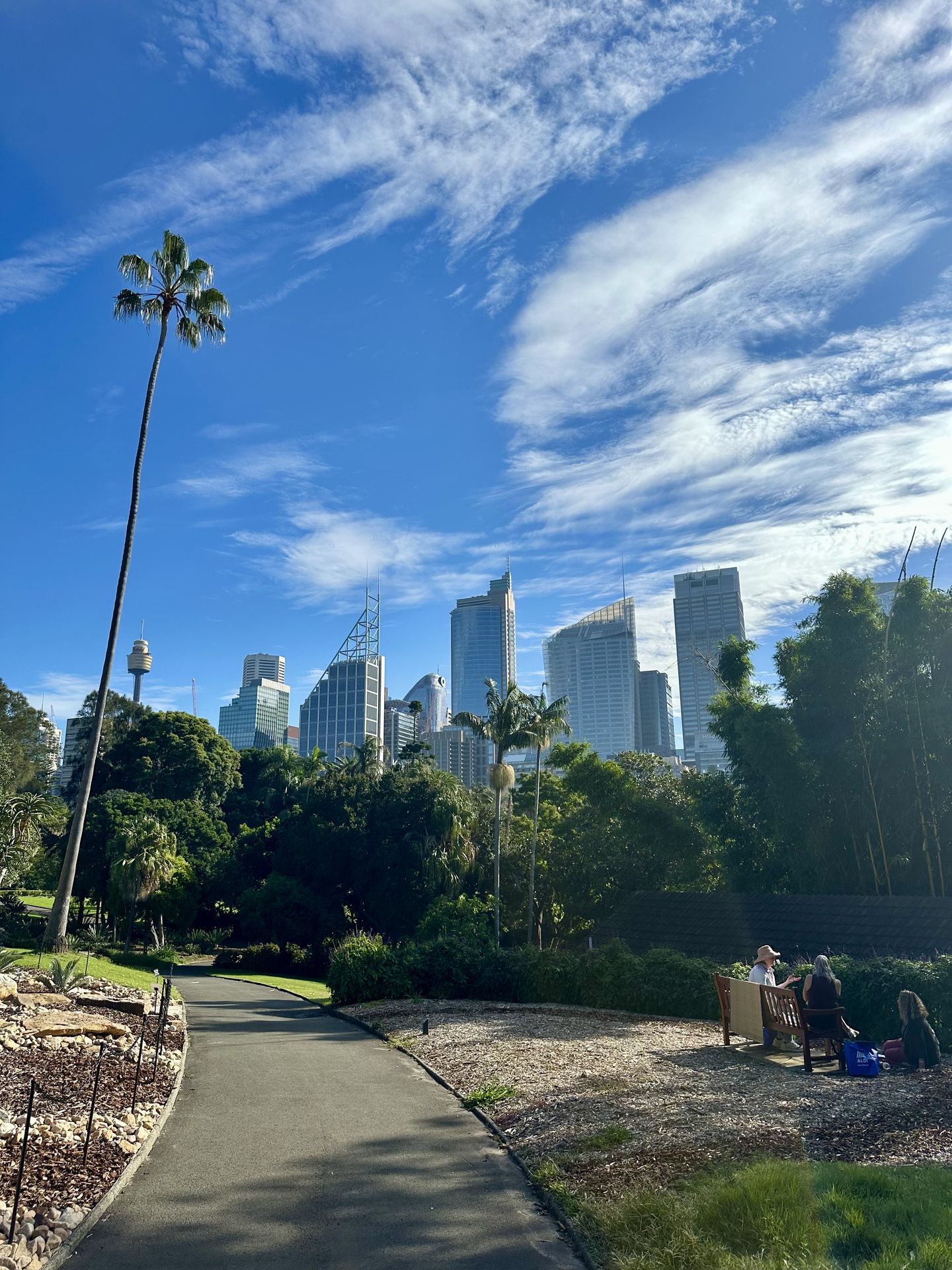 Jardin Botanic, Sydney