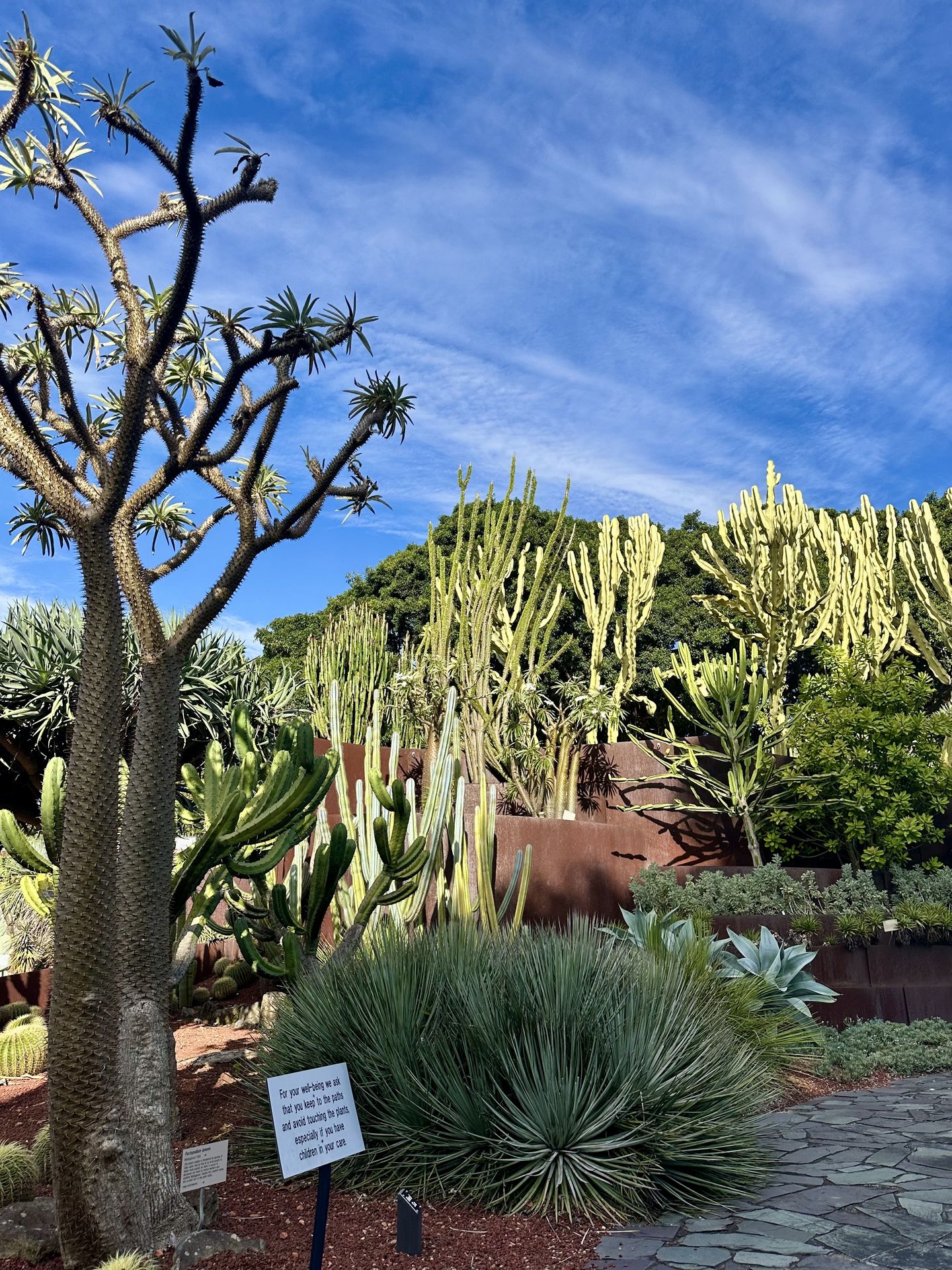 Jardin Botanic, Sydney