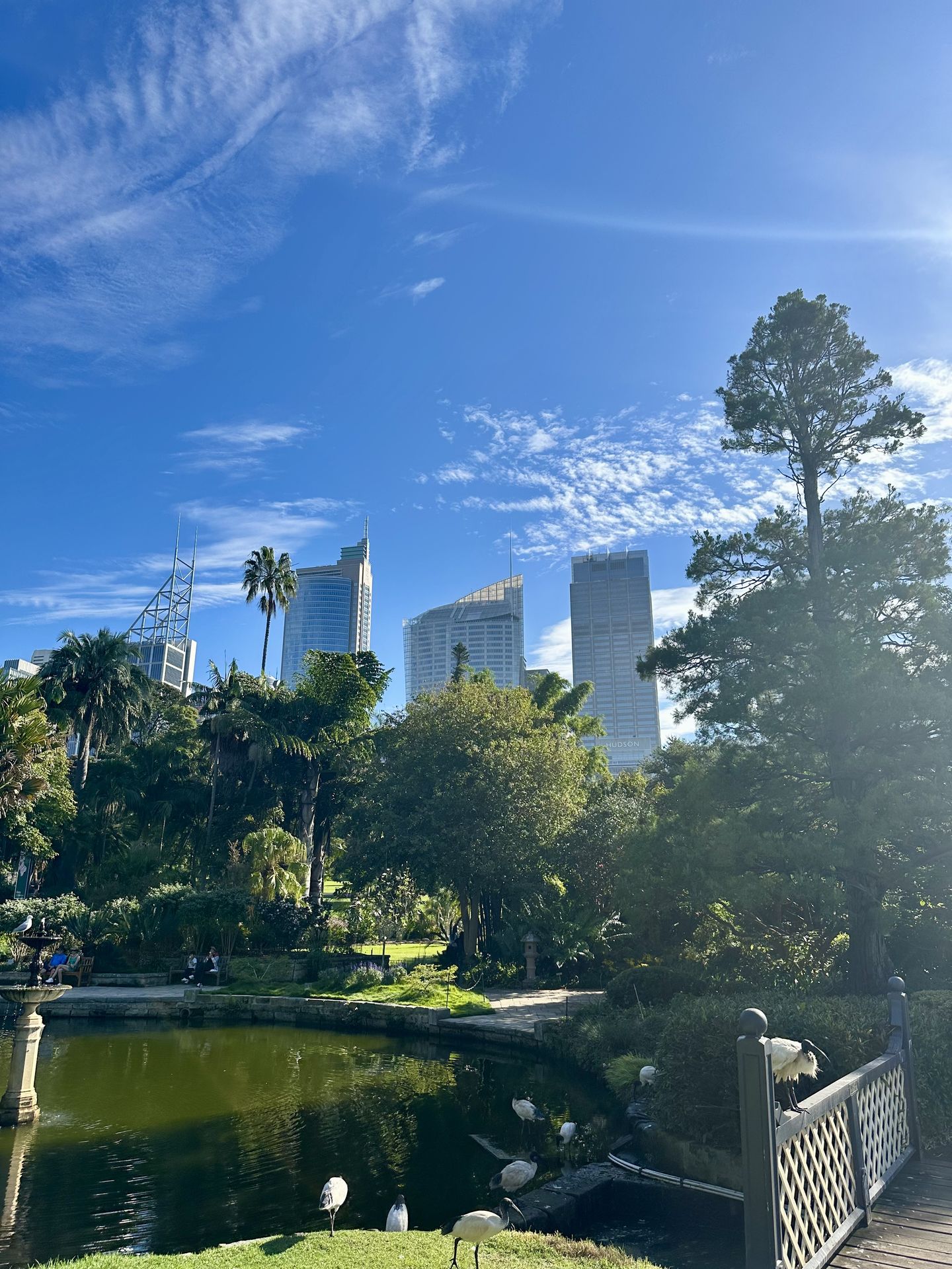 Jardin Botanic, Sydney