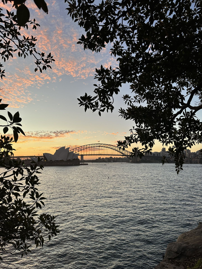Mrs Macquarie&#39;s Chair