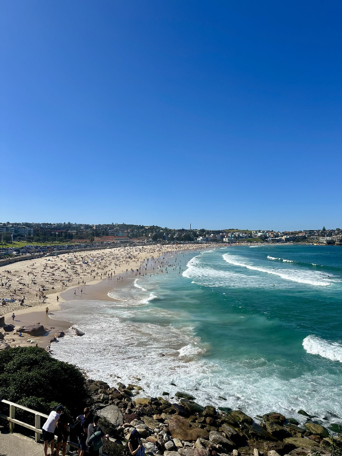 Bondi Beach