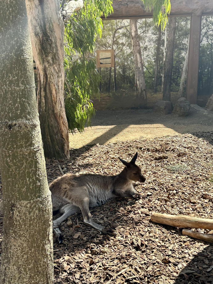 Wild Life Sydney Zoo