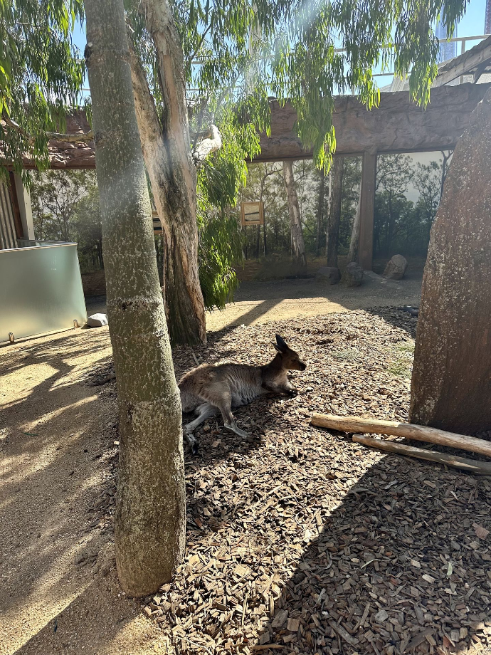 Wild Life Sydney Zoo