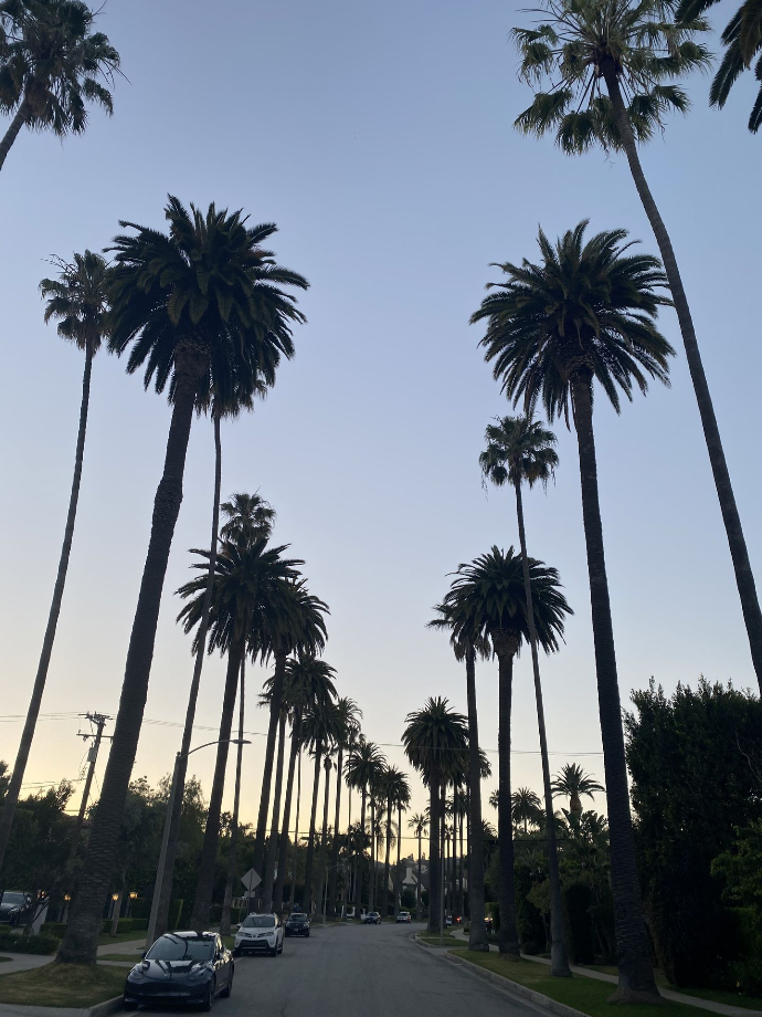 Beverly Hills