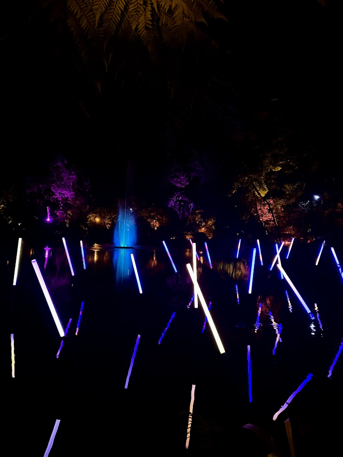 Festival of Lights New Plymouth