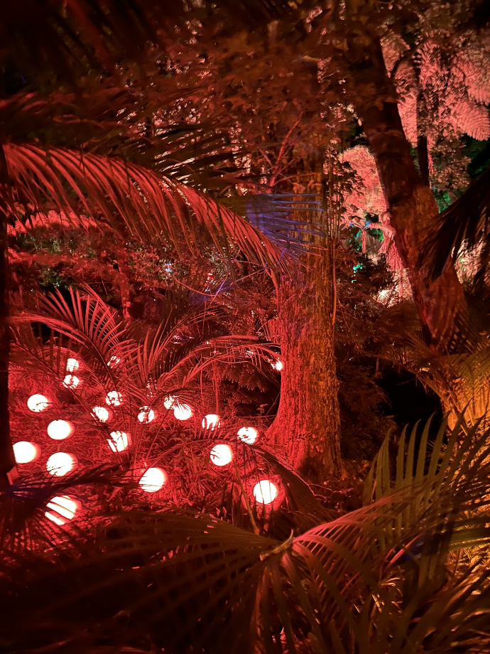 Festival of Lights New Plymouth